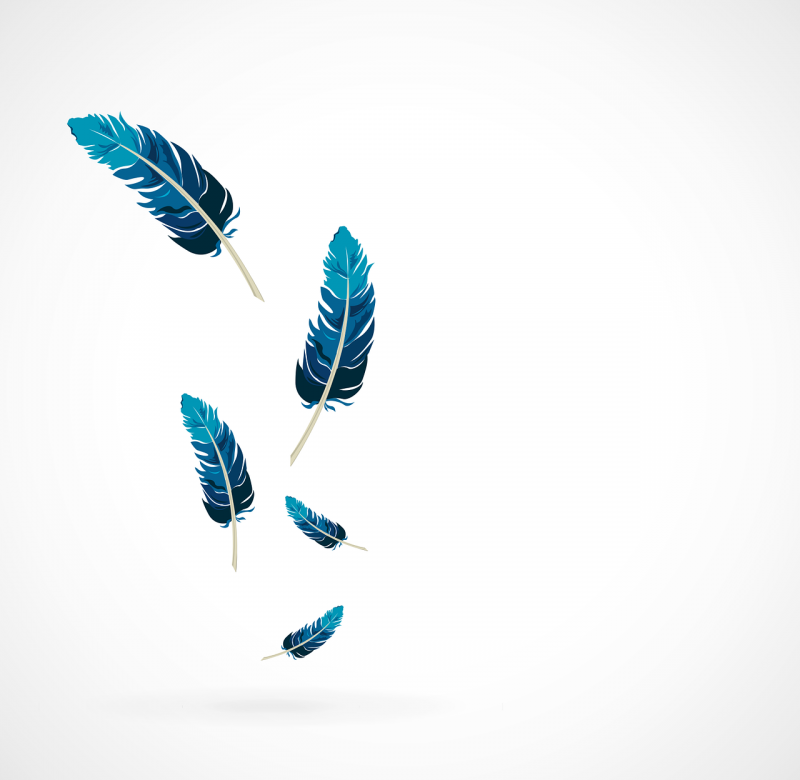 feather, blue, falling-1689331.jpg